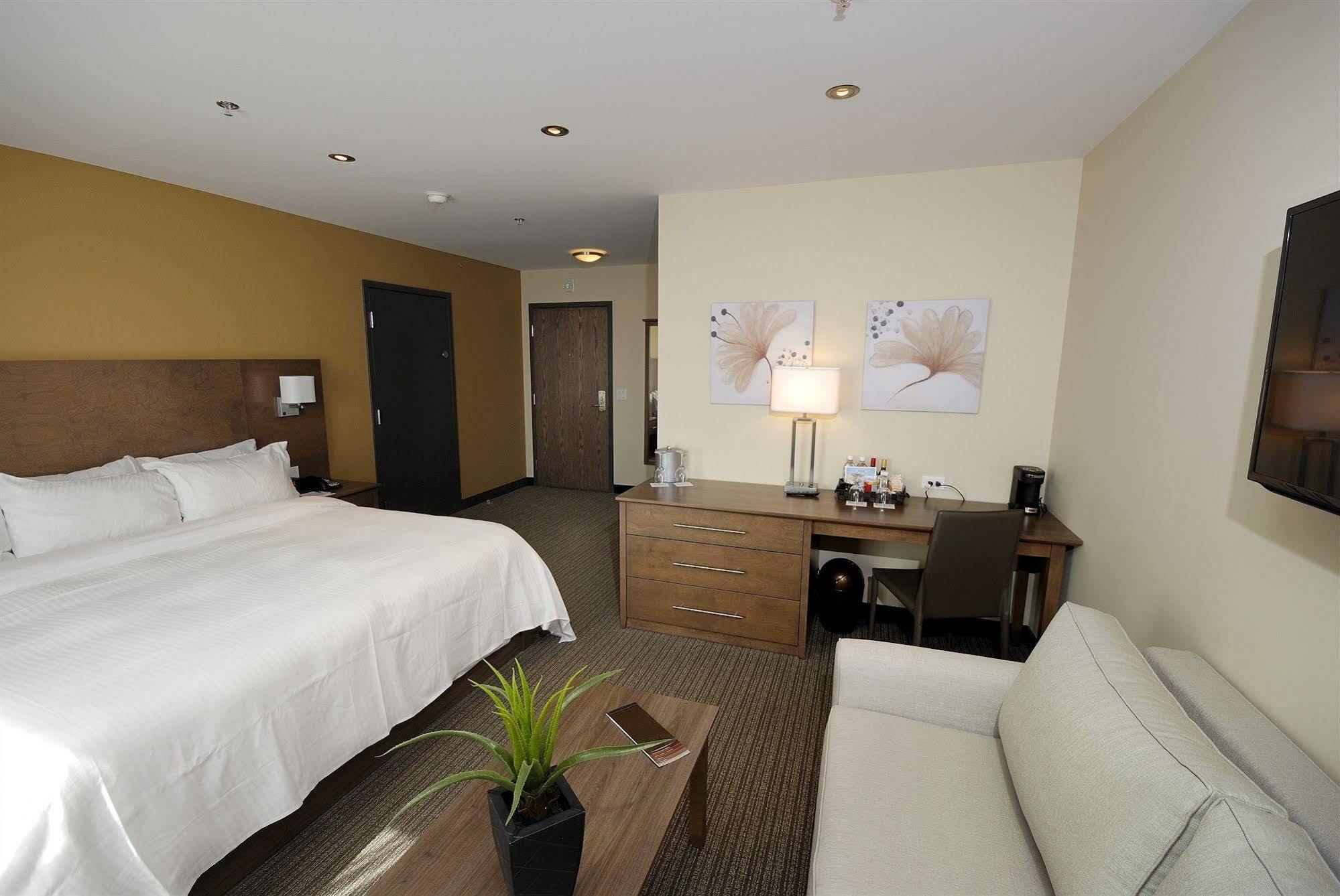 Imperia Hotel Et Suites แตร์บอนน์ ภายนอก รูปภาพ
