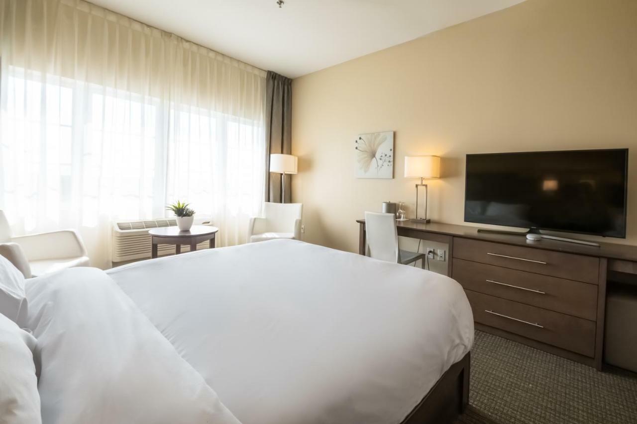Imperia Hotel Et Suites แตร์บอนน์ ภายนอก รูปภาพ