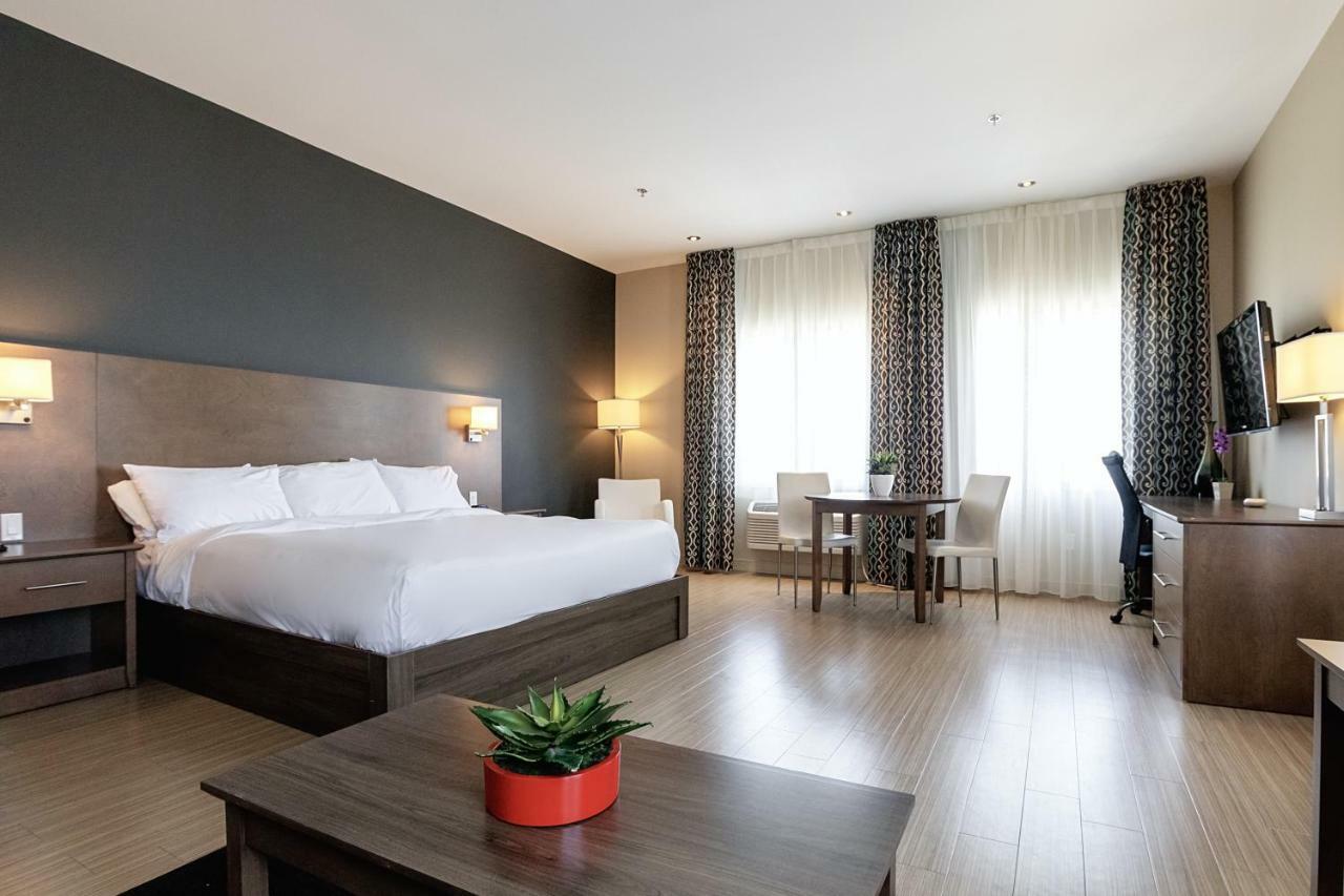 Imperia Hotel Et Suites แตร์บอนน์ ภายนอก รูปภาพ